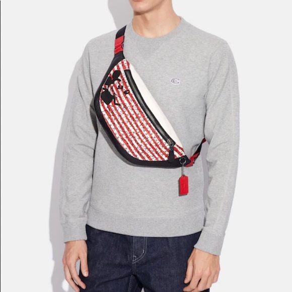 Authentic COACH Pebbled leather Mickey mousse Keith Disney 2 zips belt bag - Picture 4 of 16